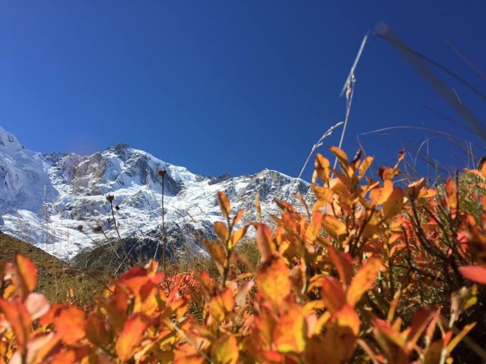 Chalet Incantevole Zender Βίλα Macugnaga Εξωτερικό φωτογραφία